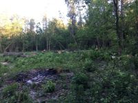 Участок в шикарном месте с. Круглик - 0