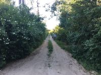 Участок в шикарном месте с. Круглик - 2