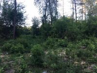 Участок в шикарном месте с. Круглик