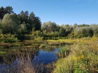 Участок в Круглик на берегу реки