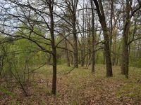 Участок под строительства дома в лесу в Ходосовке - 2