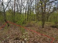 Участок под строительства дома в лесу в Ходосовке - 5