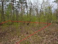 Участок под строительства дома в лесу в Ходосовке - 6