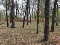 Участок под строительства дома в лесу в Ходосовке - 7