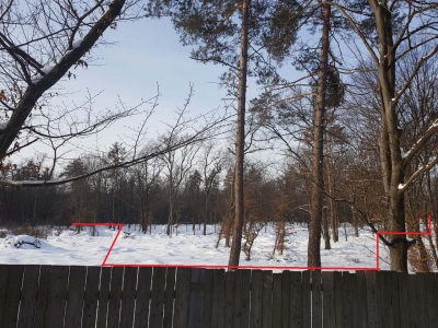Лесники (Тропы/Стежки) 60 соток
