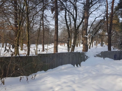 Лесники (Тропы/Стежки) 60 соток - 1