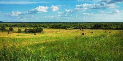 Підсумки тижня: Діяльність Держгеокадастру в цифрах