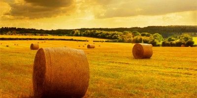 Підсумки тижня: Діяльність Держгеокадастру в цифрах