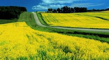 Підсумки тижня: Діяльність Держгеокадастру в цифрах