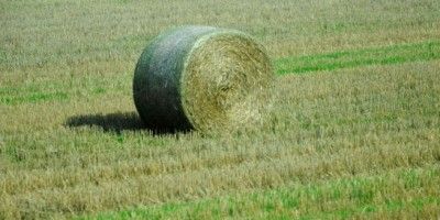 Підсумки тижня: Діяльність Держгеокадастру в цифрах