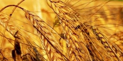 Підсумки тижня: Діяльність Держгеокадастру в цифрах