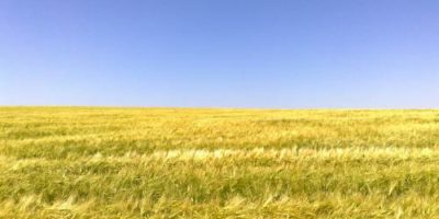 Підсумки тижня: Діяльність Держгеокадастру в цифрах