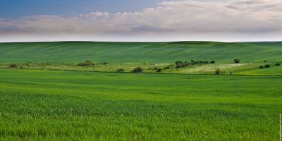Підсумки тижня: Діяльність Держгеокадастру в цифрах