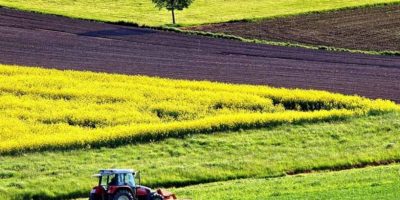 Підсумки тижня: Діяльність Держгеокадастру в цифрах