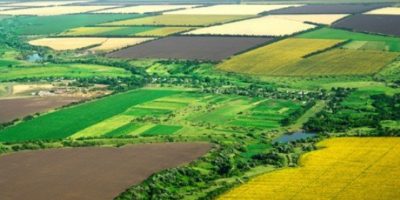 Підсумки тижня: Діяльність Держгеокадастру в цифрах
