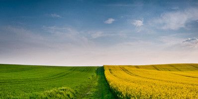 Підсумки тижня: Діяльність Держгеокадастру в цифрах