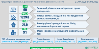 Результати земельних аукціонів за період з 31 липня по 6 серпня 2020 року